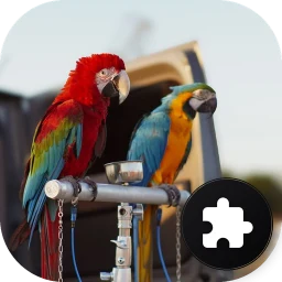 Parrot Jigsaw Puzzle 图标